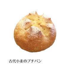 古代小麦のプチパン
