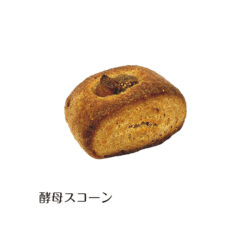 酵母スコーン