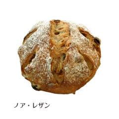 ノア・レザン