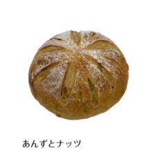 あんずとナッツ